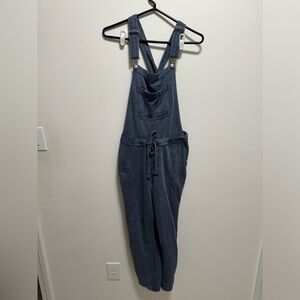 Wallflower Overalls